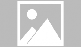 吃瓜鹅每日爆料杜江,吃瓜鹅每日爆料，揭秘明星背后的故事